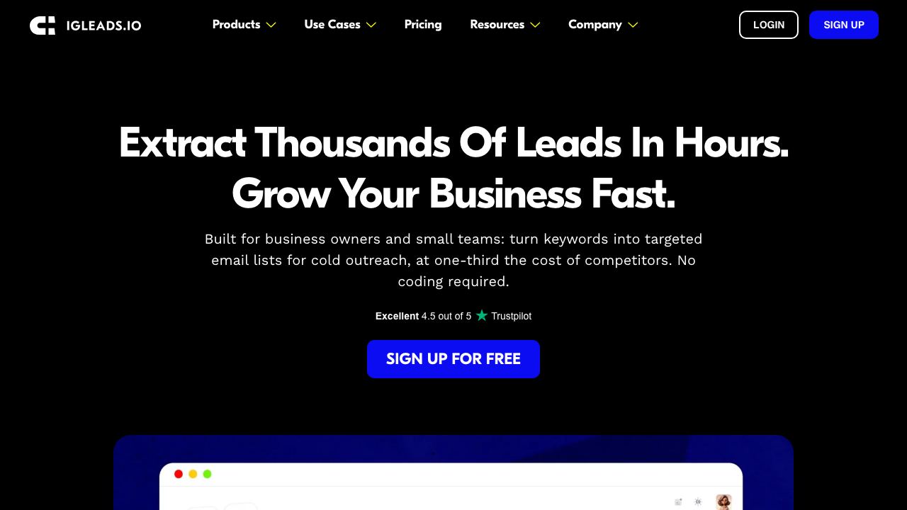 IGLeads 网站截图