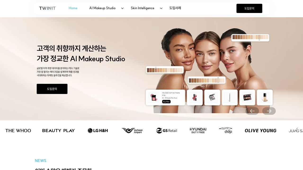 Twinit 网站截图