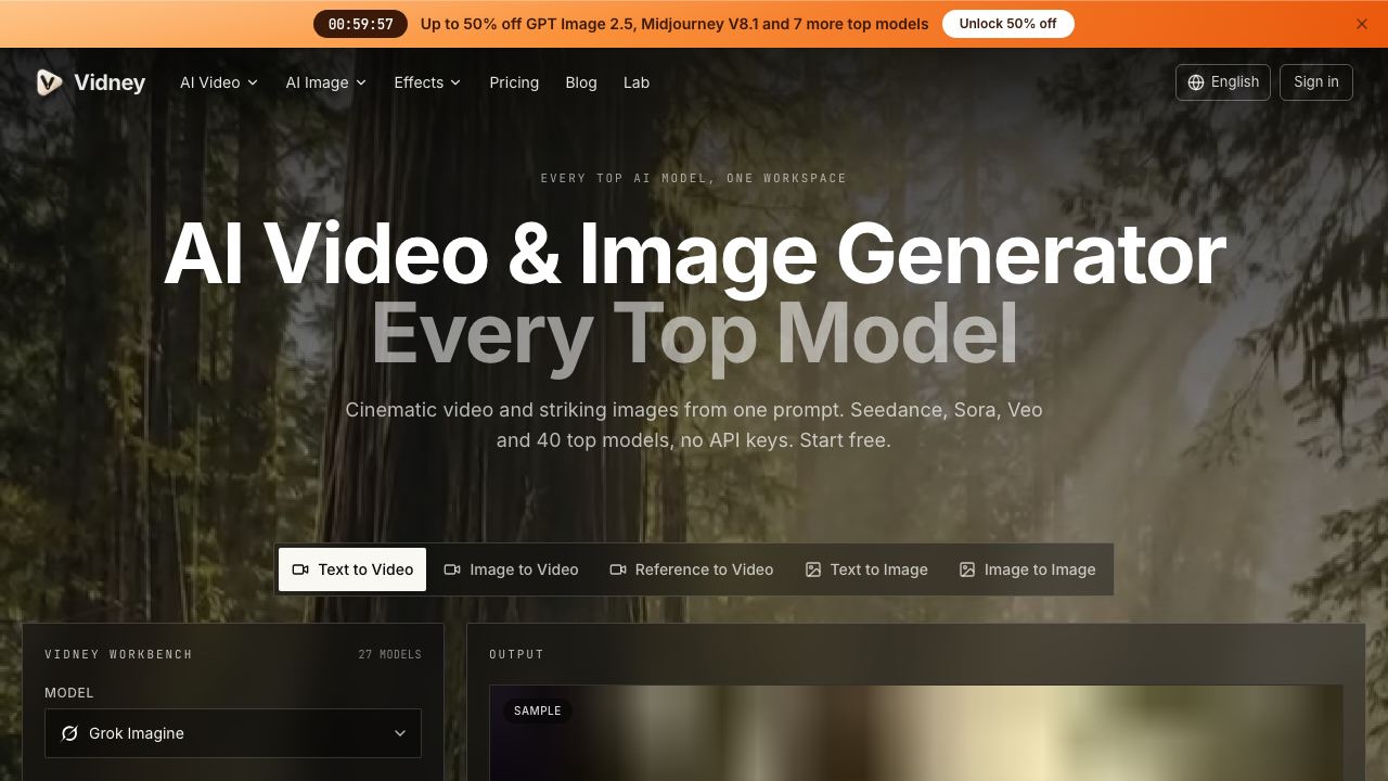 Vidney website screenshot