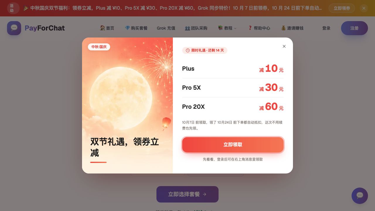 PayForChat 网站截图