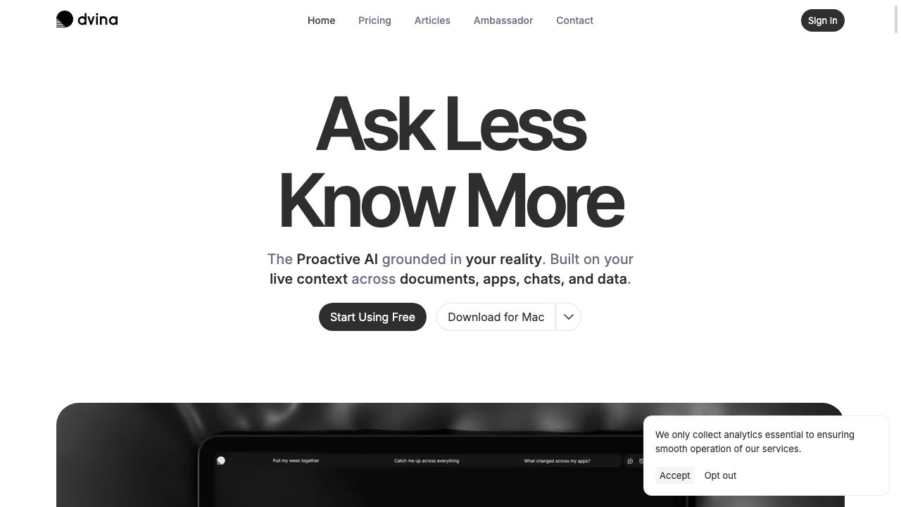 Dvina website screenshot