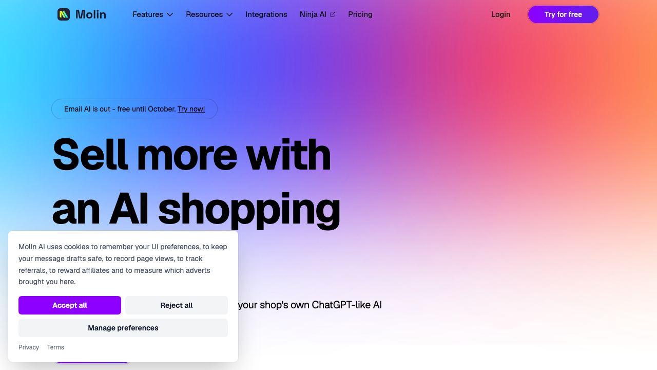 Molin AI website screenshot