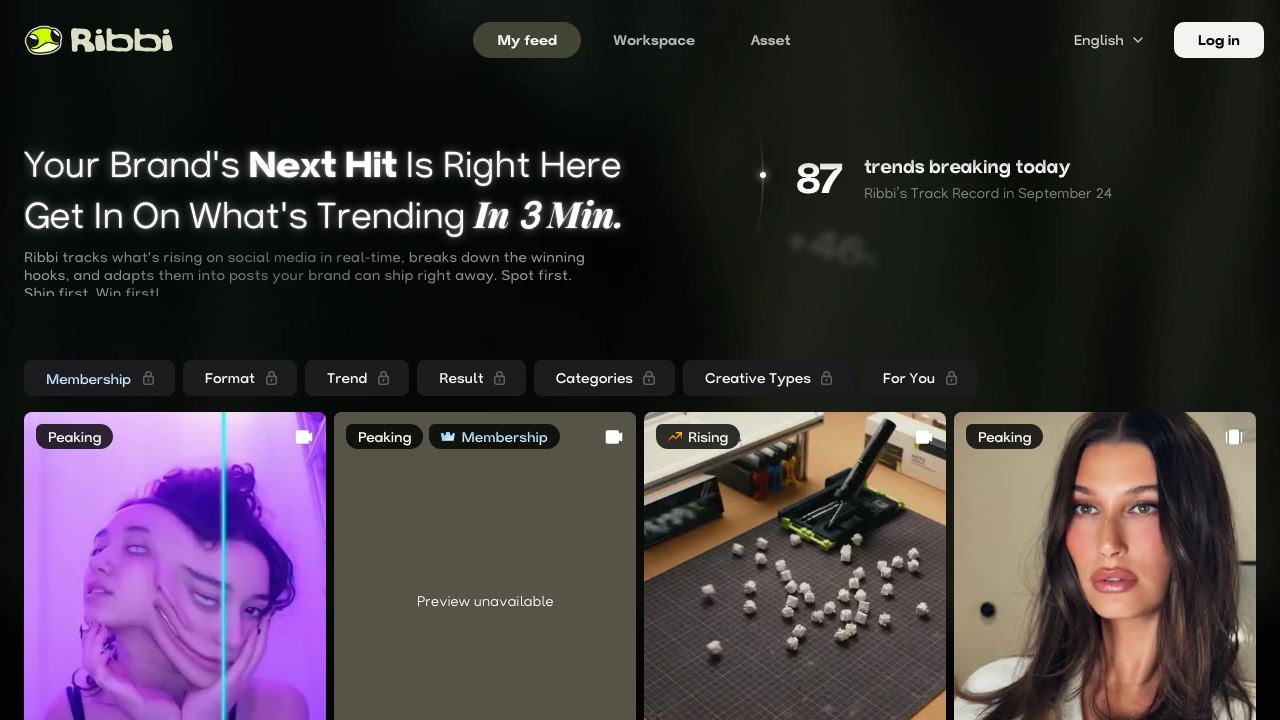 Ribbi AI website screenshot