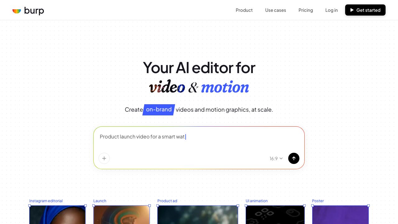 Burp website screenshot