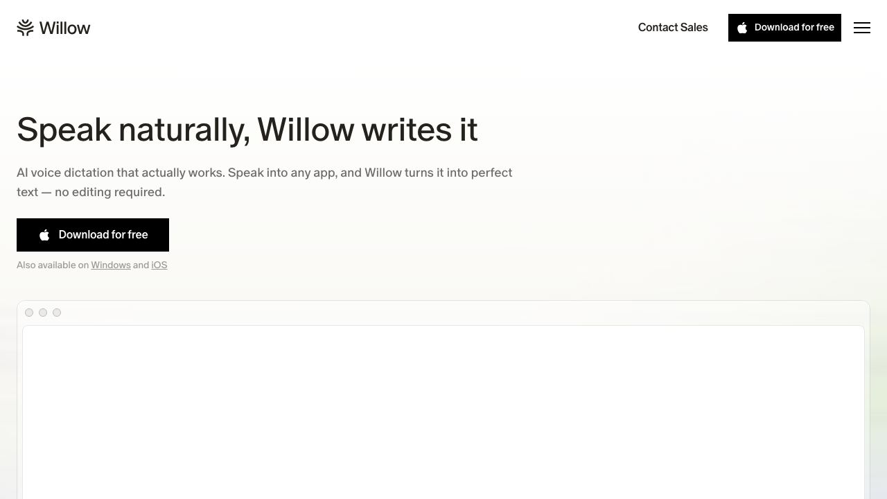 Willow Voice 网站截图