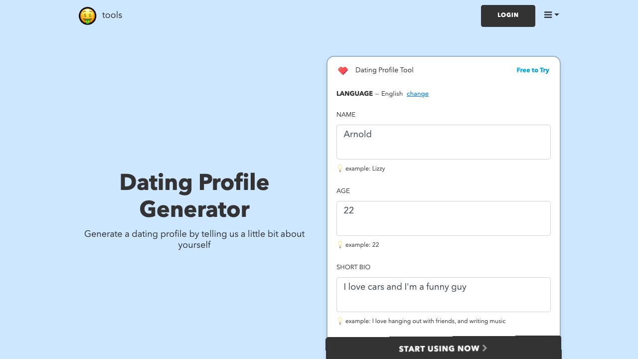 Dating Profile Generator | nichesss website screenshot