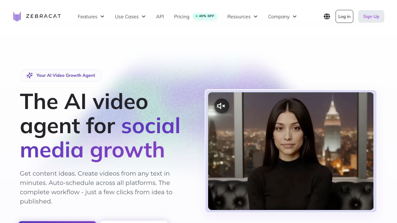 Zebracat website screenshot