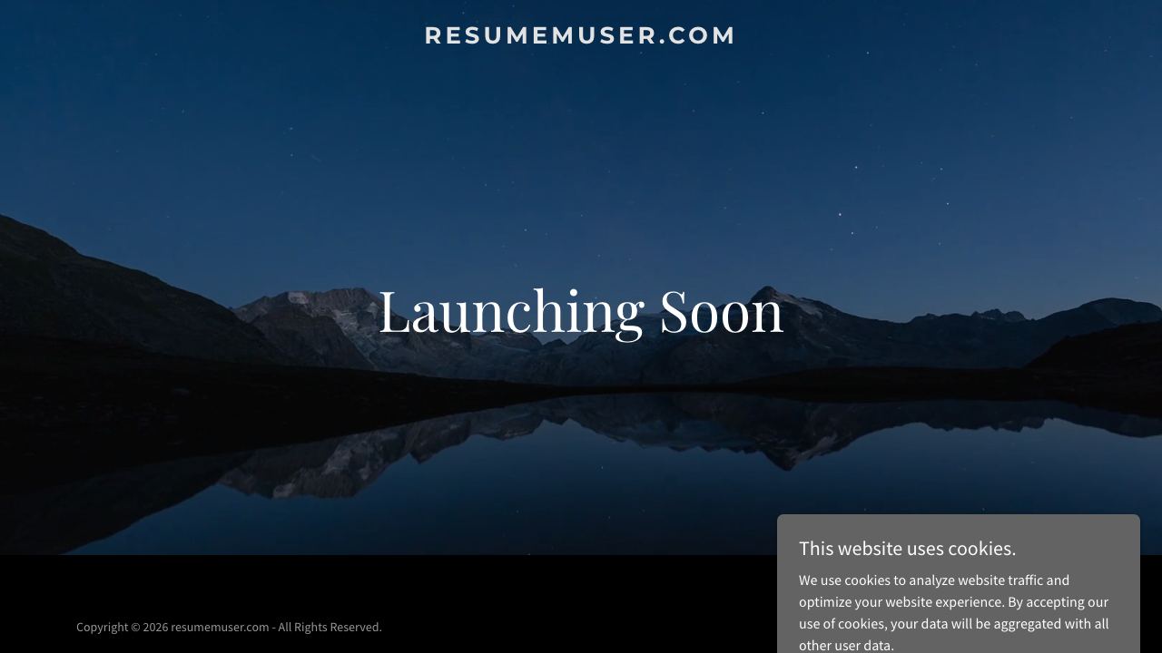 ResumeMuser 网站截图