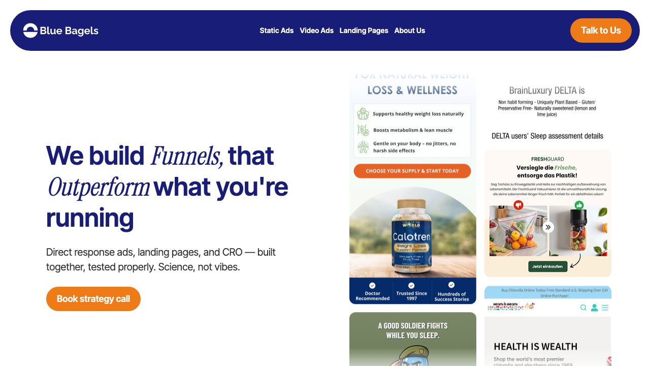 Blue Bagels website screenshot