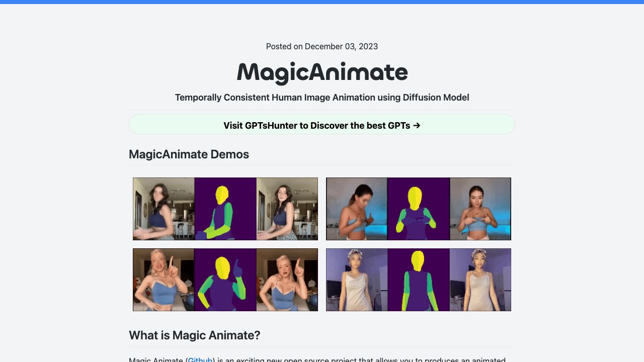 MagicAnimate Playground 网站截图