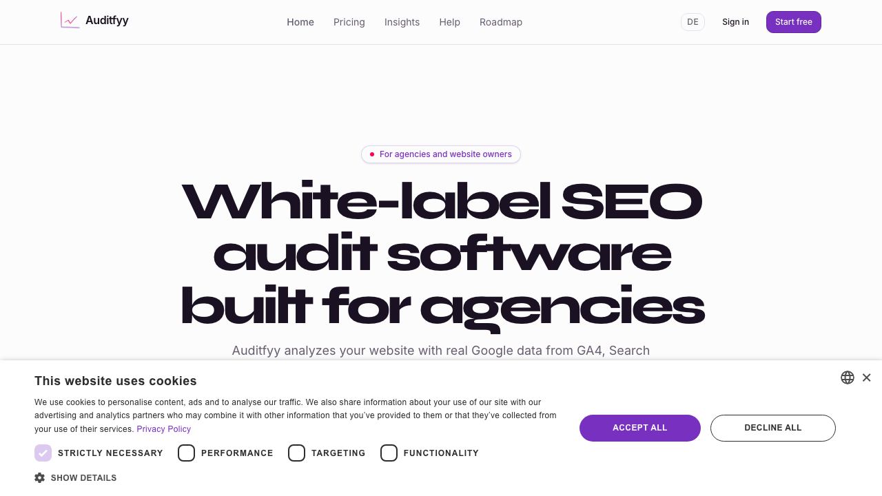 Auditfyy 网站截图