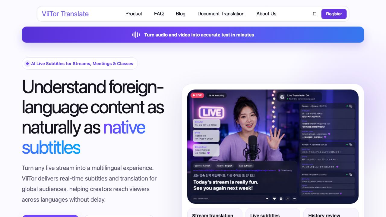 ViiTor Translate 网站截图