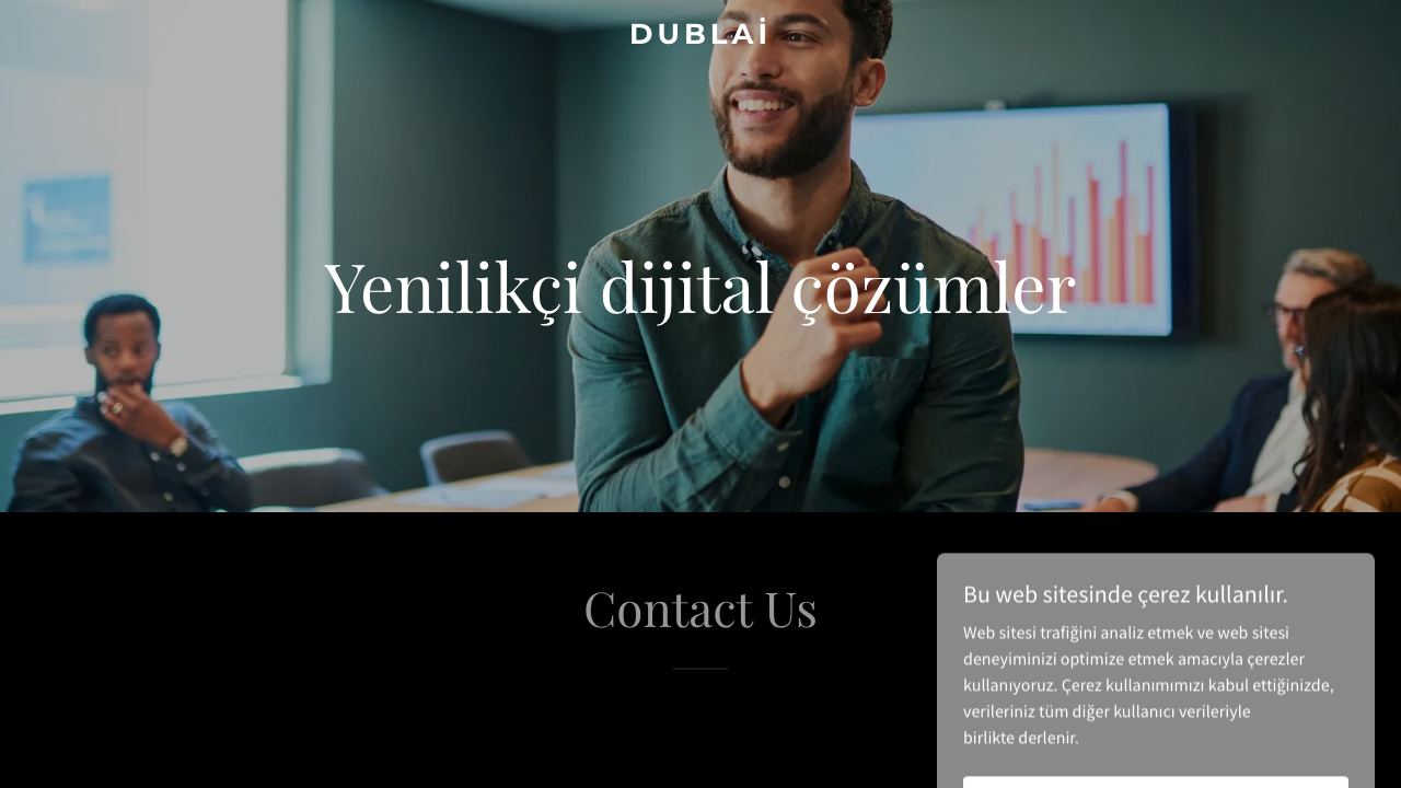 Dublai.com 网站截图