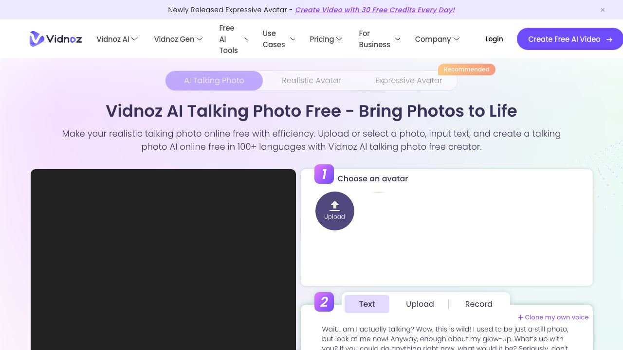 Vidnoz website screenshot