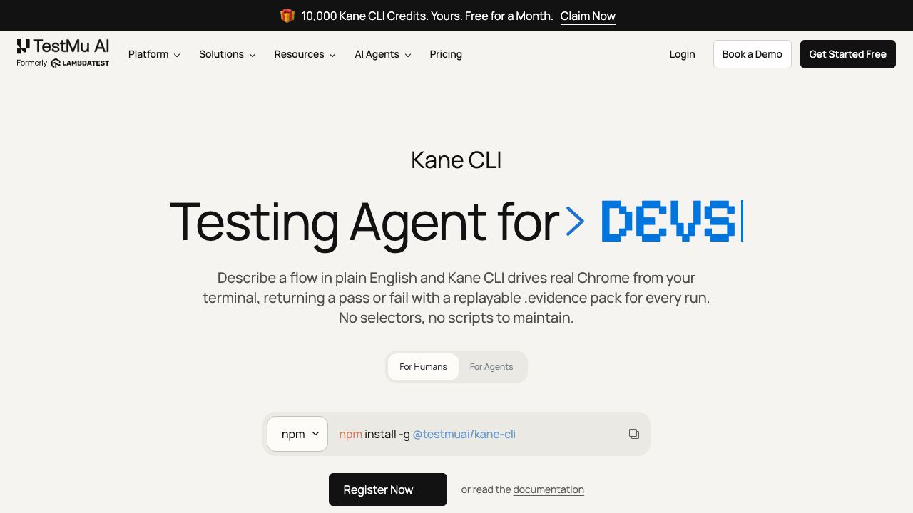 Kane CLI 网站截图