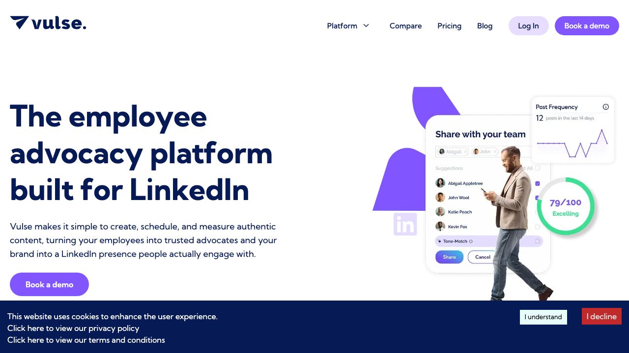 Vulse website screenshot