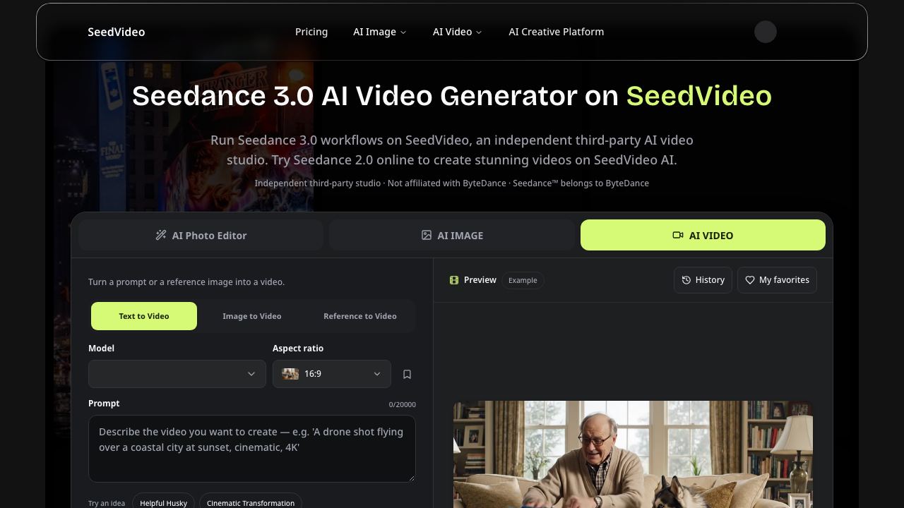 SeedVideo AI 网站截图