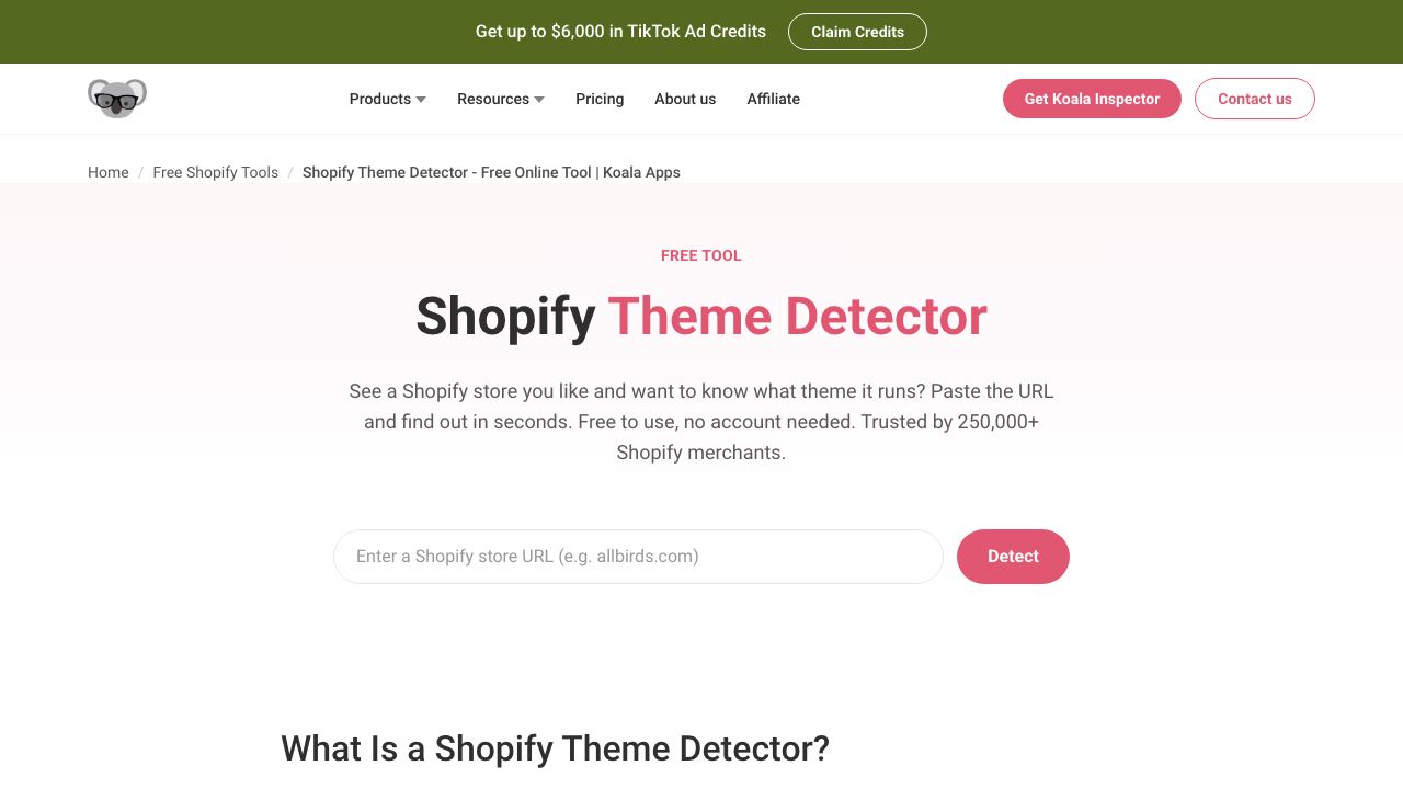 Shopify Theme Detector 网站截图