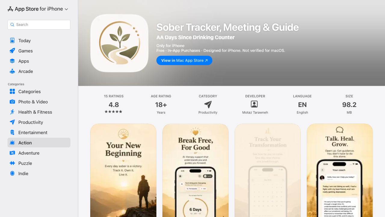 Sober Counter & Therapy - Rise 网站截图