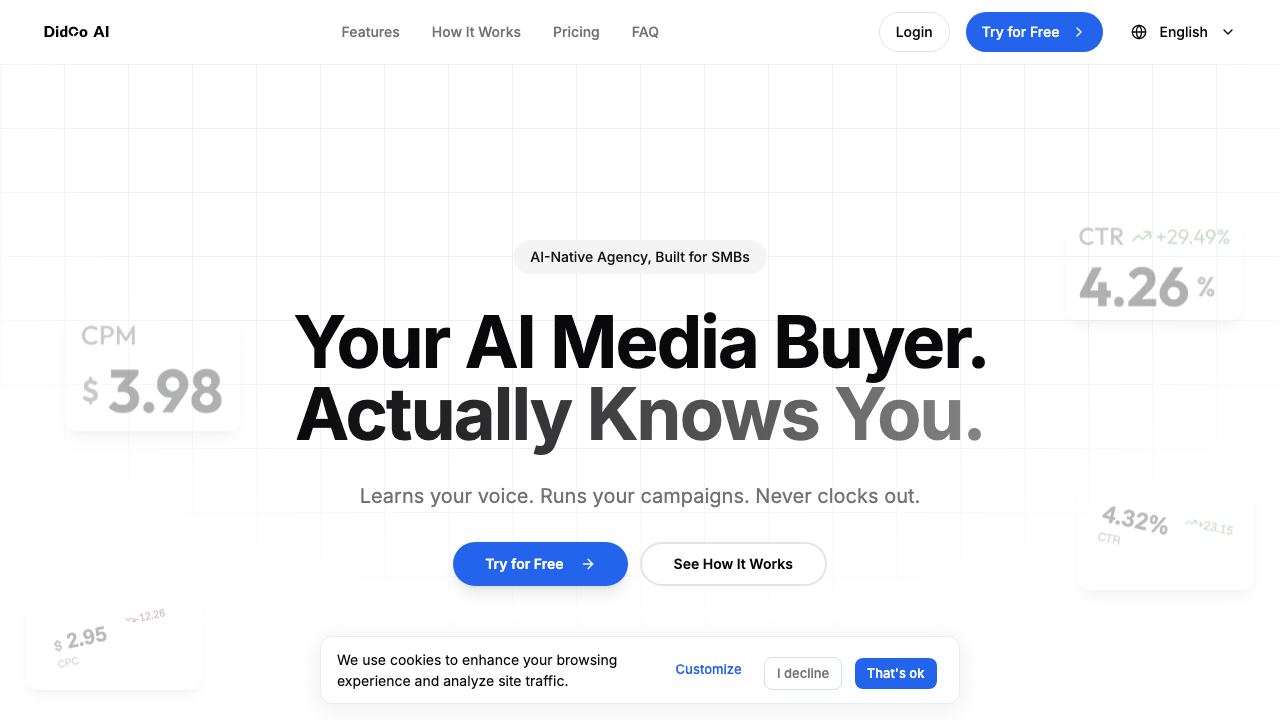 Didoo AI 网站截图