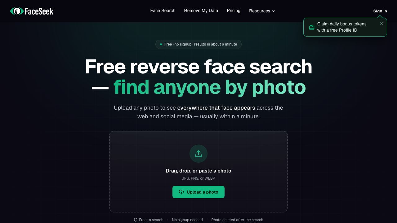 FaceSeek - AI Face Search 网站截图
