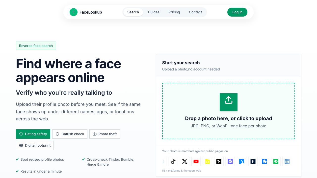 Face Lookup 网站截图