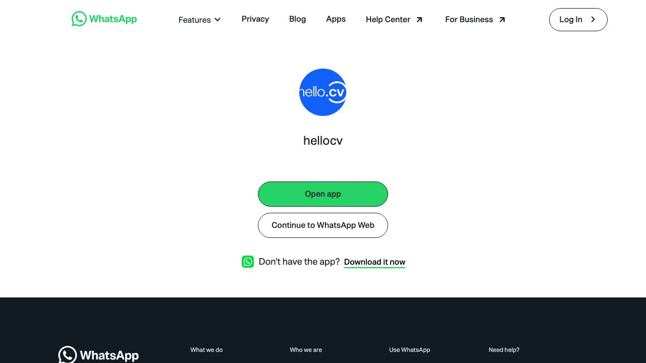 Chat CV 网站截图