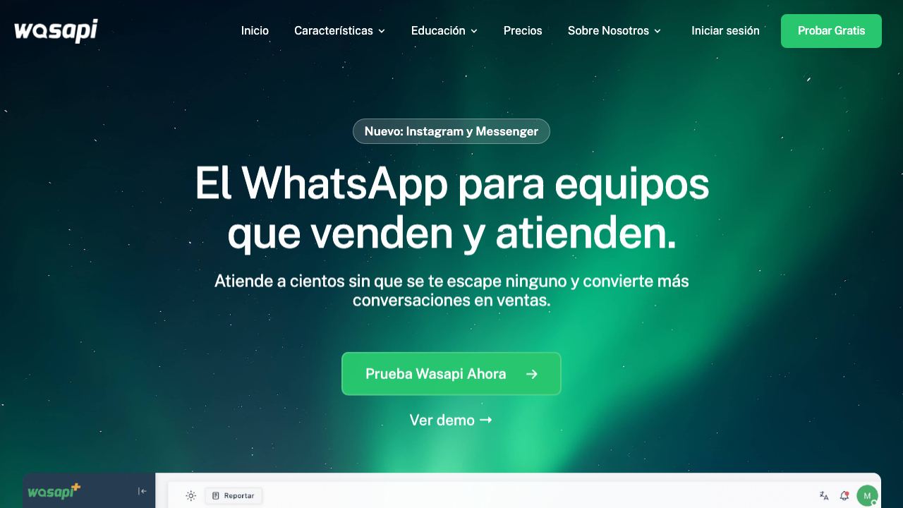 Wasapi 网站截图