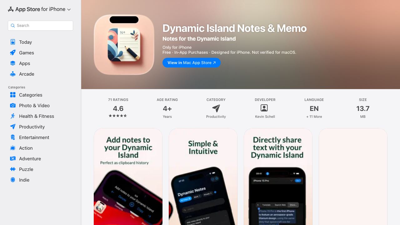 Dynamic Notes 网站截图