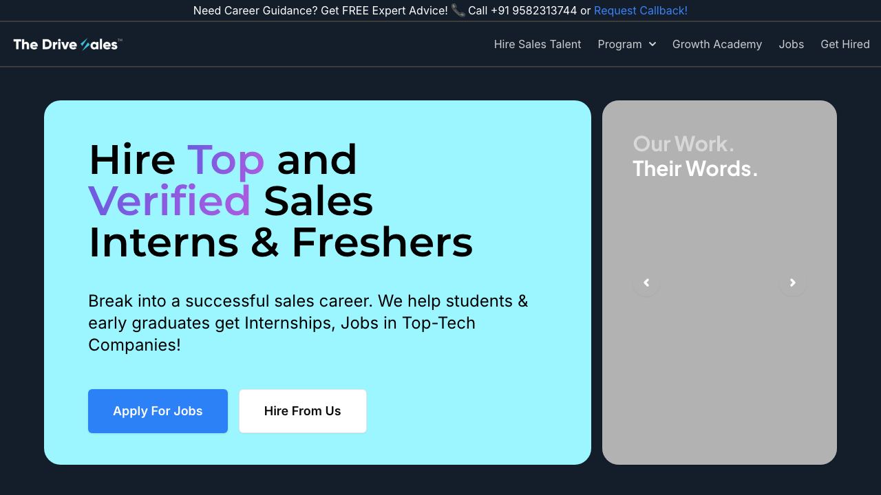 The DriveSales™ 网站截图