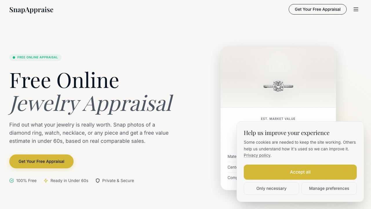 Jewelry Appraisal Assistant 网站截图