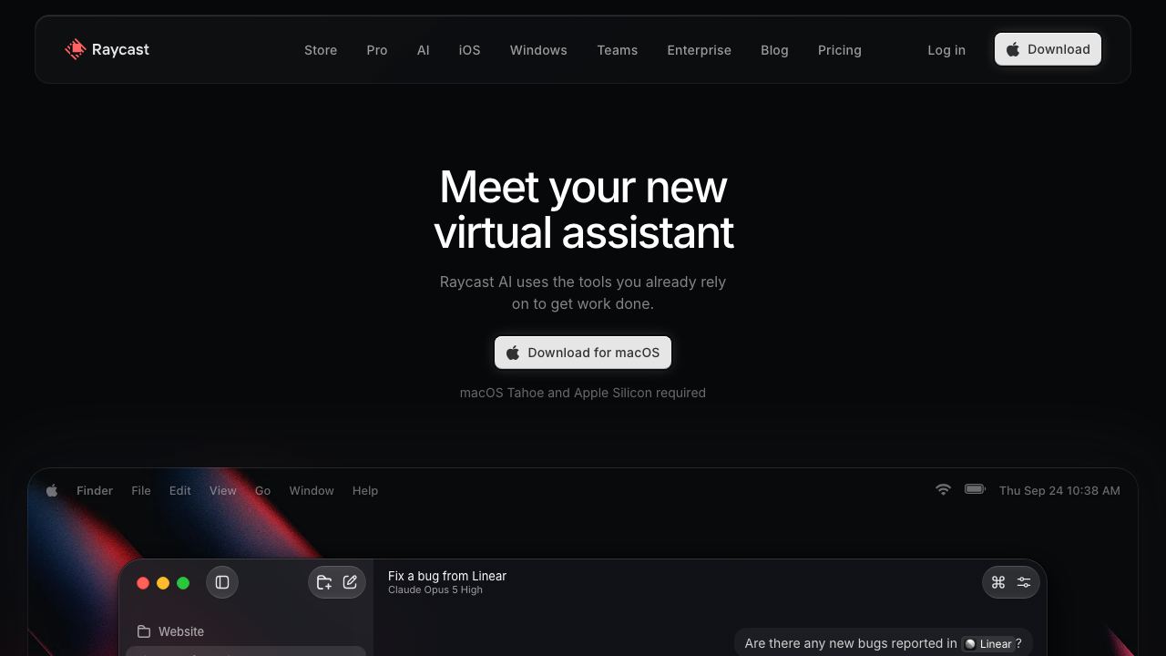 Raycast AI Lite 网站截图