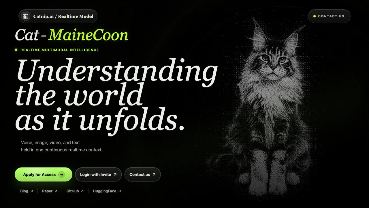MaineCoon AI website screenshot