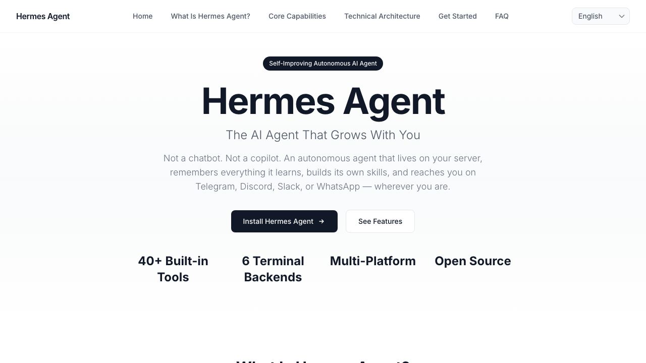 Hermes Agent 网站截图