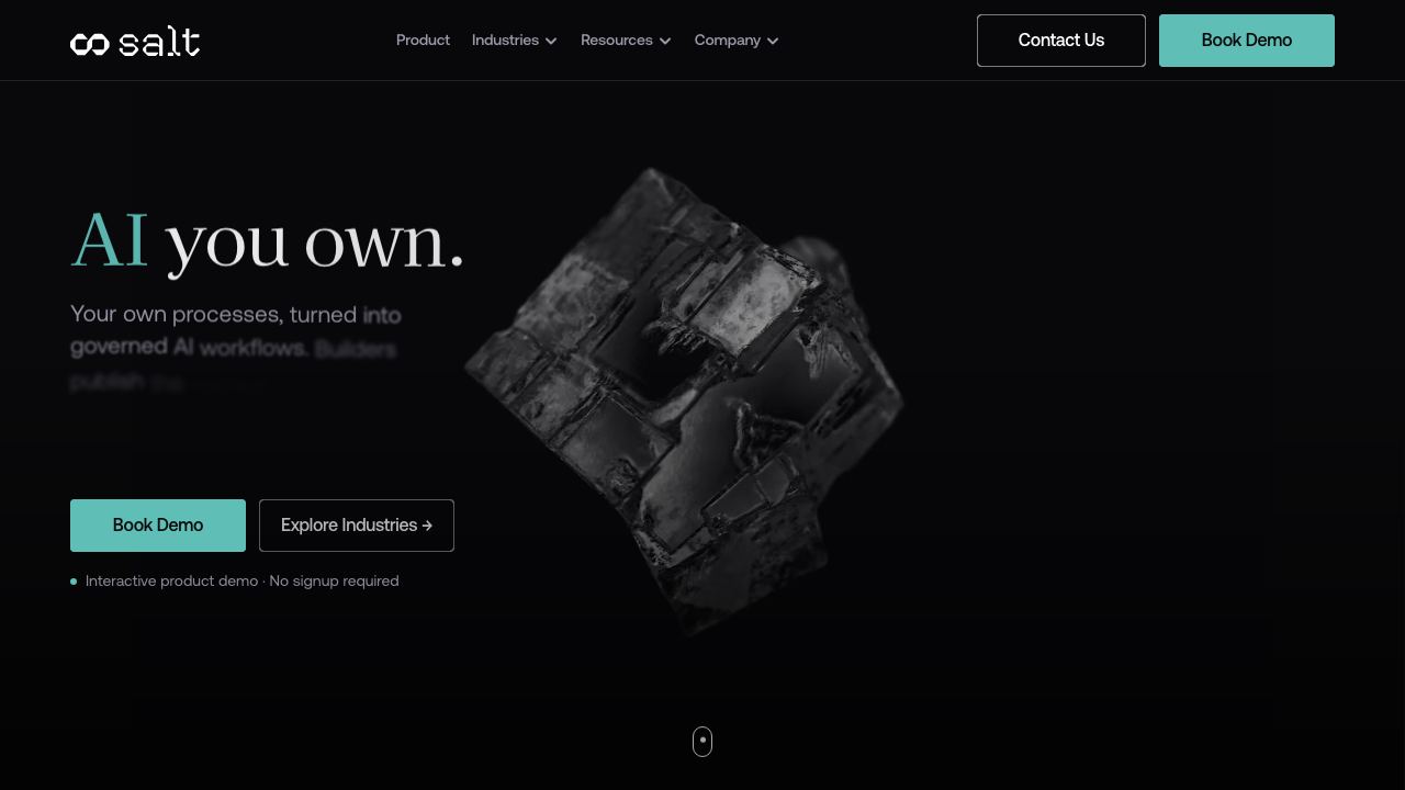 Salt AI 网站截图