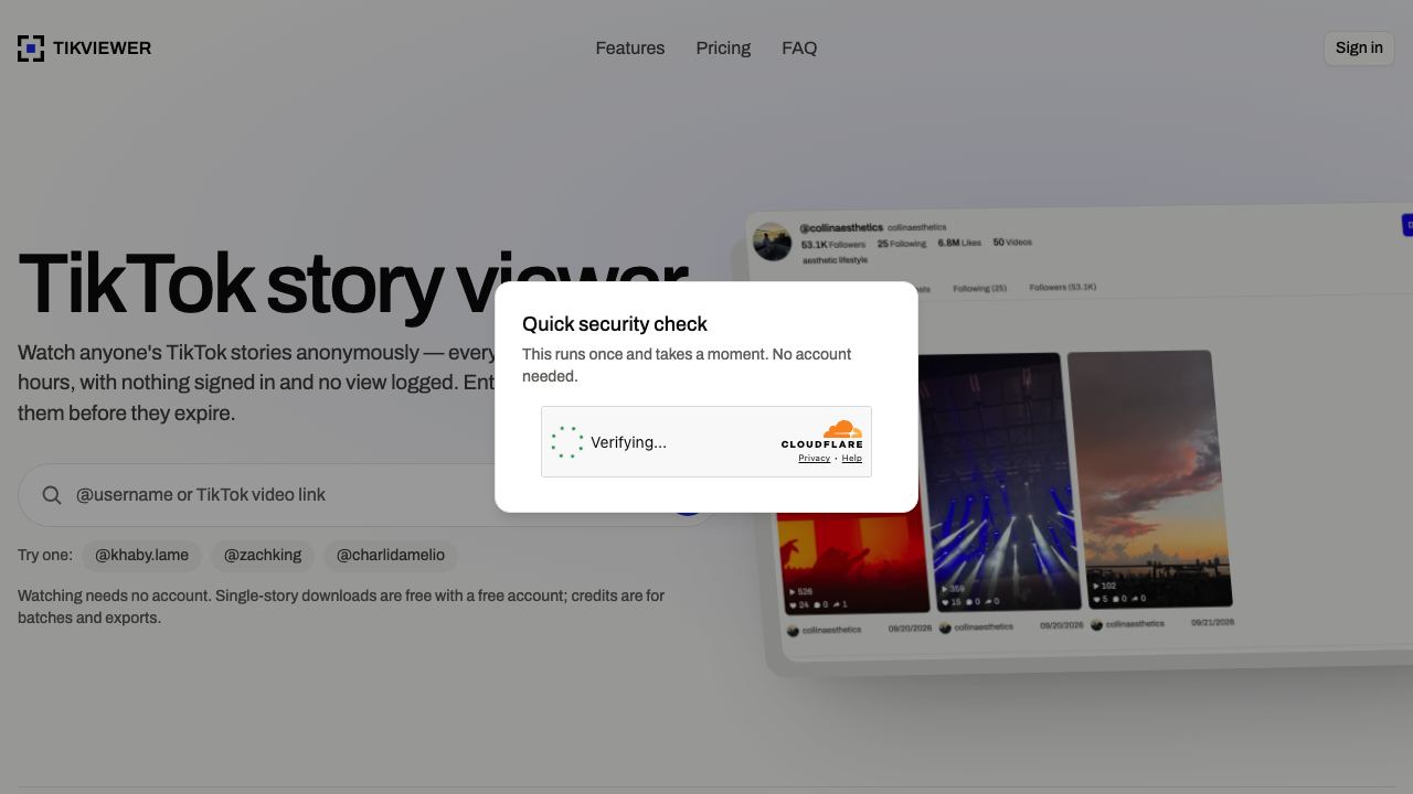 TikViewer 网站截图