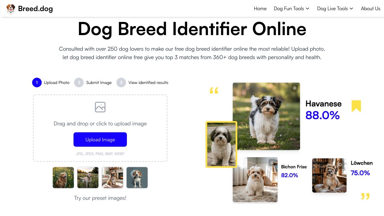 Breed.dog - AI Dog Breed Identifier website screenshot