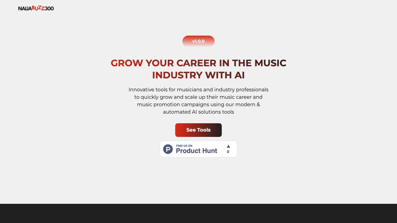 NaijaBuzz300 website screenshot