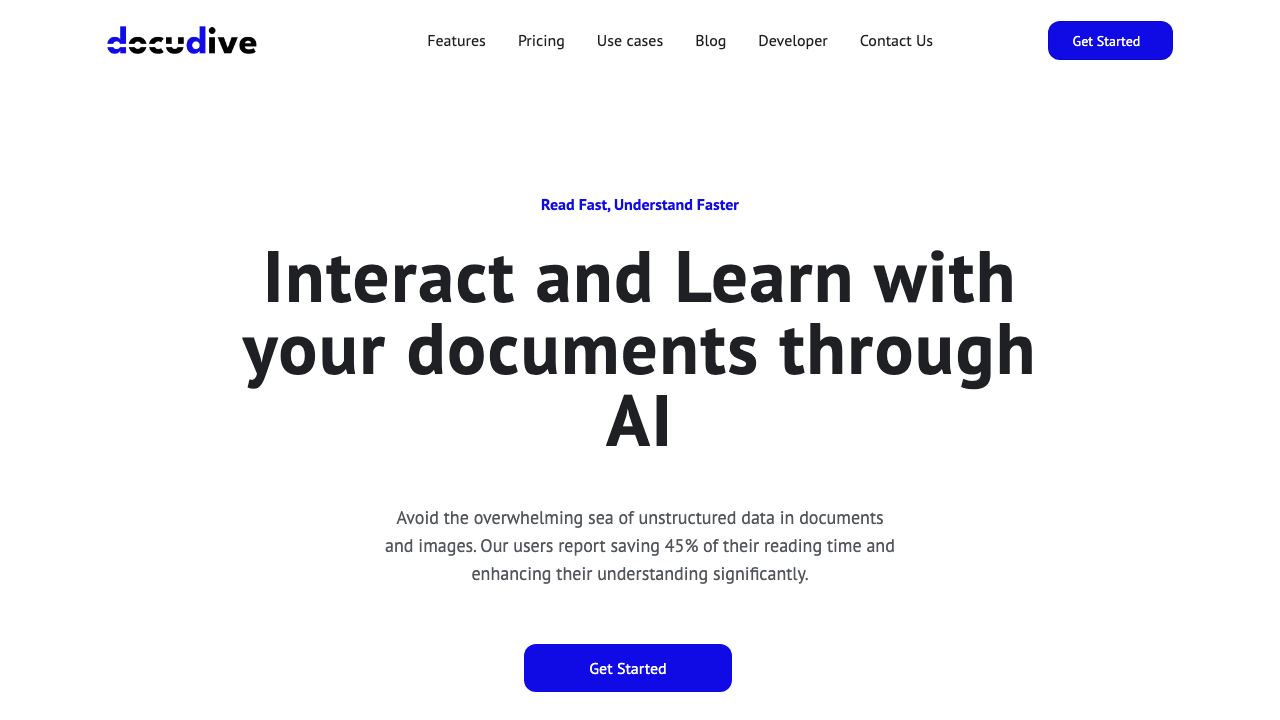 DocuDive 网站截图