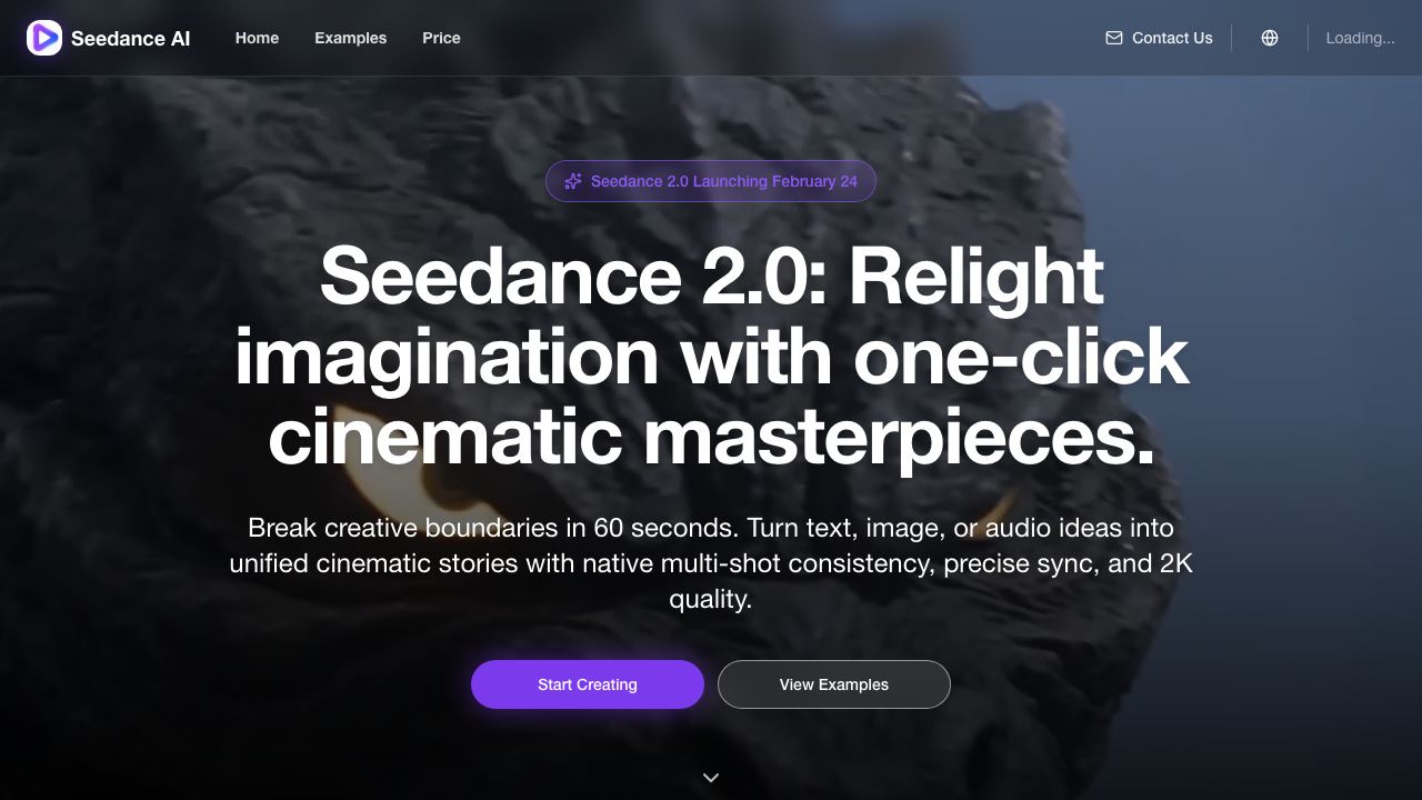 Seedance AI-11 网站截图