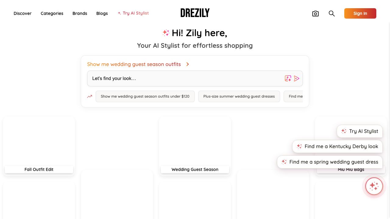 Drezily 网站截图