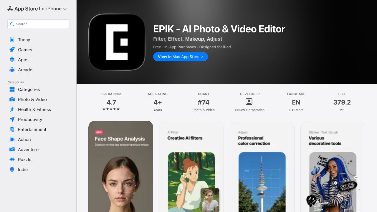 EPIK 网站截图