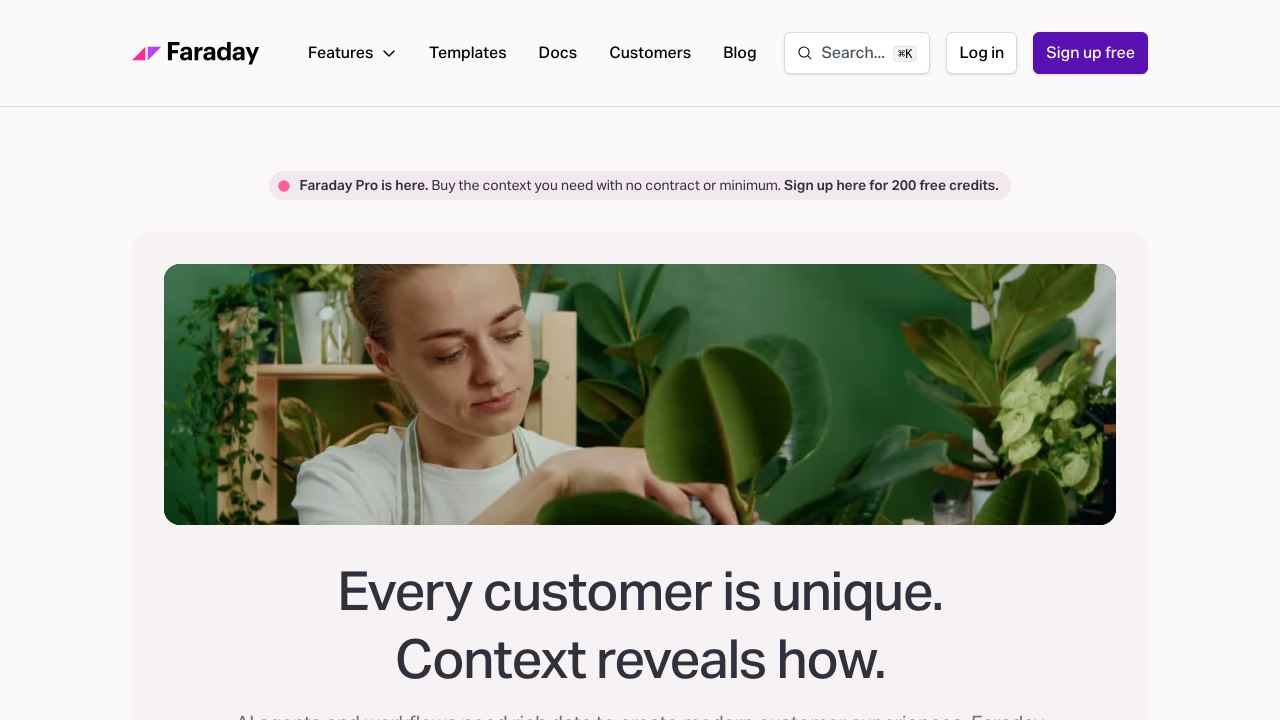 faraday.ai 网站截图