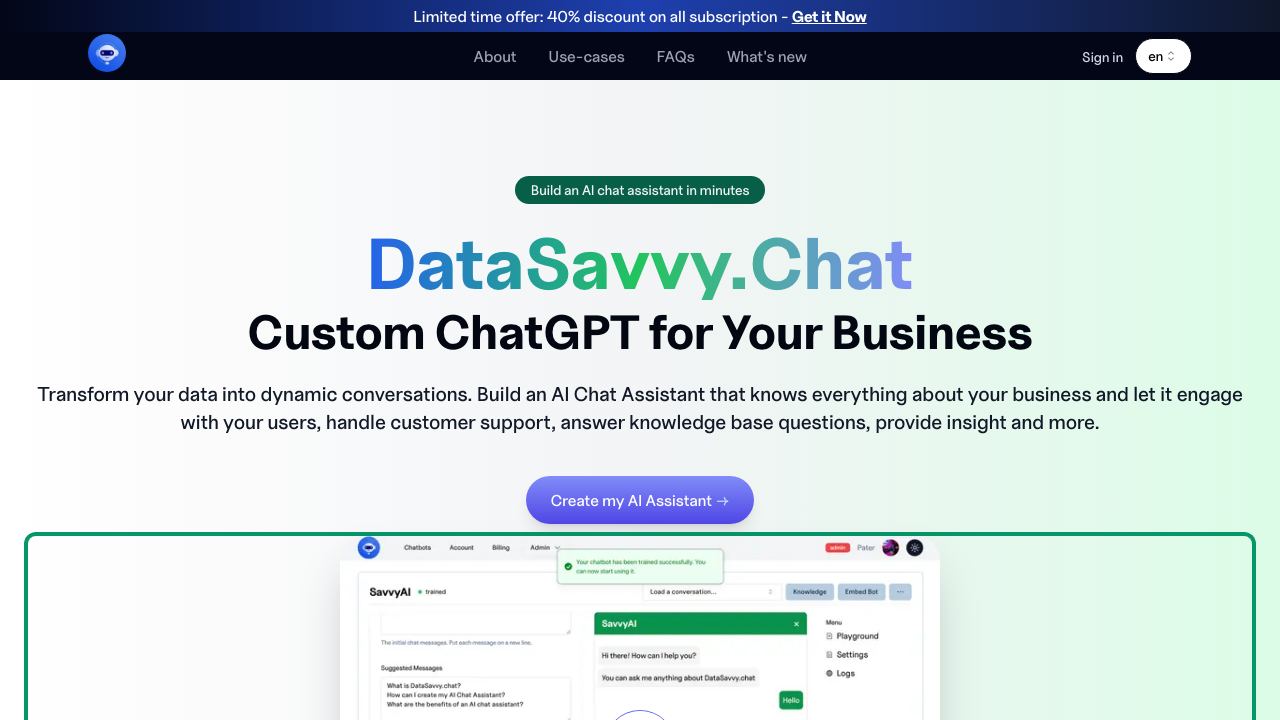 DataSavvy.Chat 网站截图