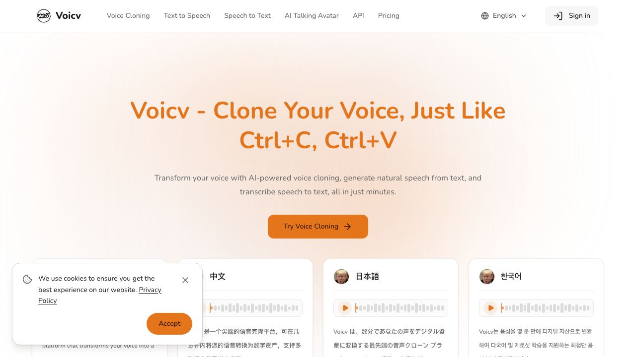 VoicV 网站截图