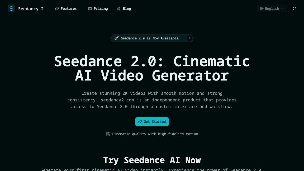 Seedancy 2 网站截图
