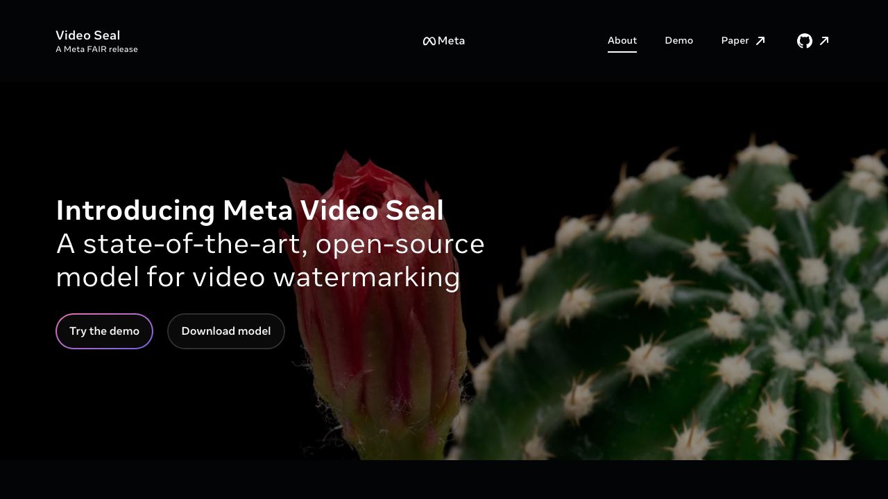 Video Seal 网站截图