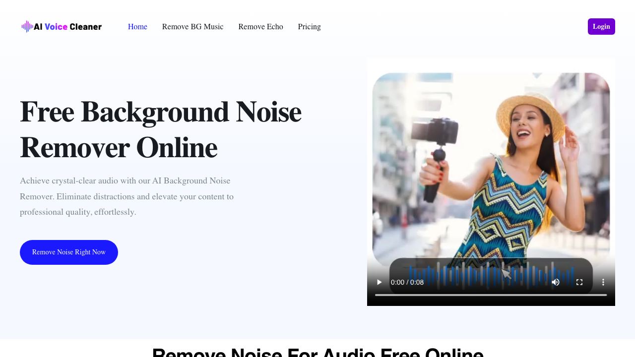 AI Voice Cleaner 网站截图