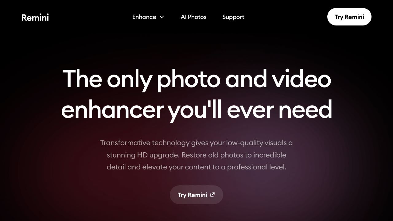 Remini website screenshot