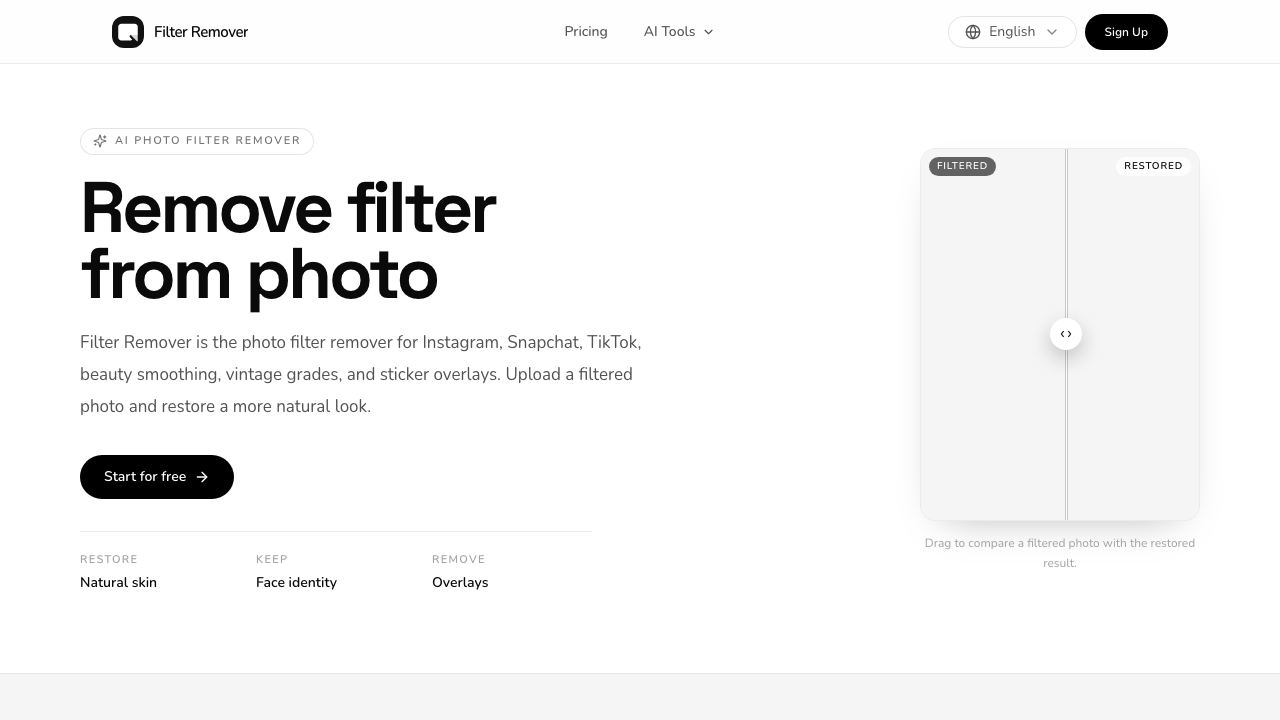 Filter Remover 网站截图
